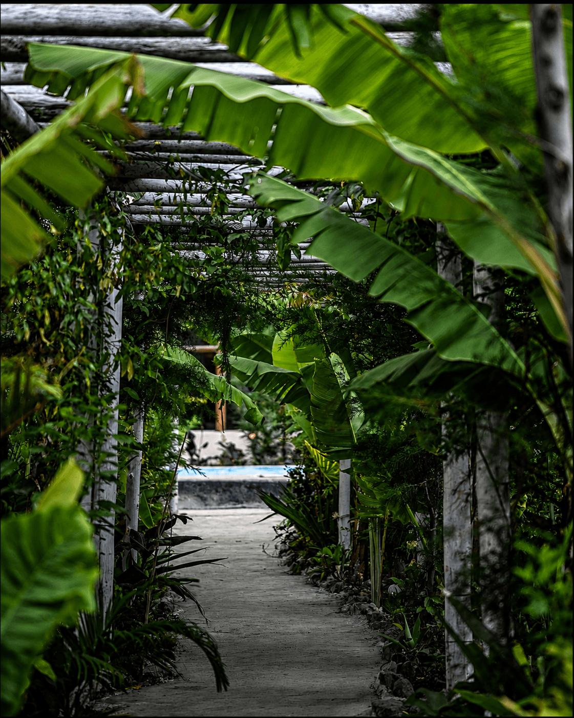 First light walk on the Ubuntu living farm