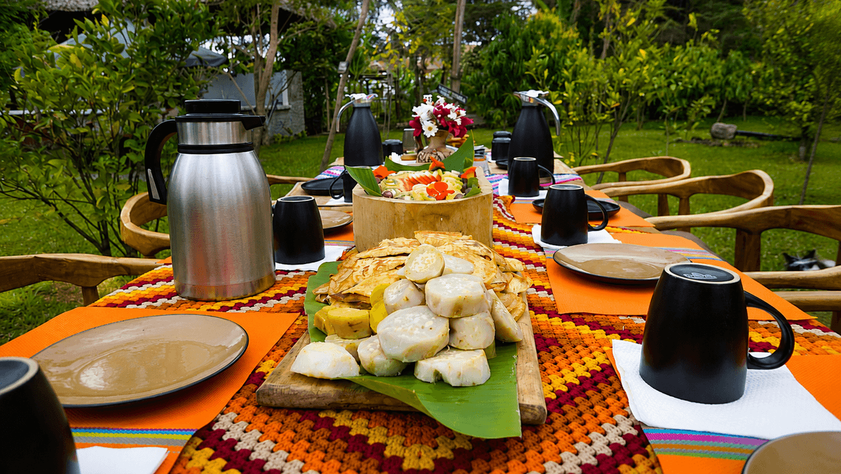 Garden Breakfast Beneath the Trees
